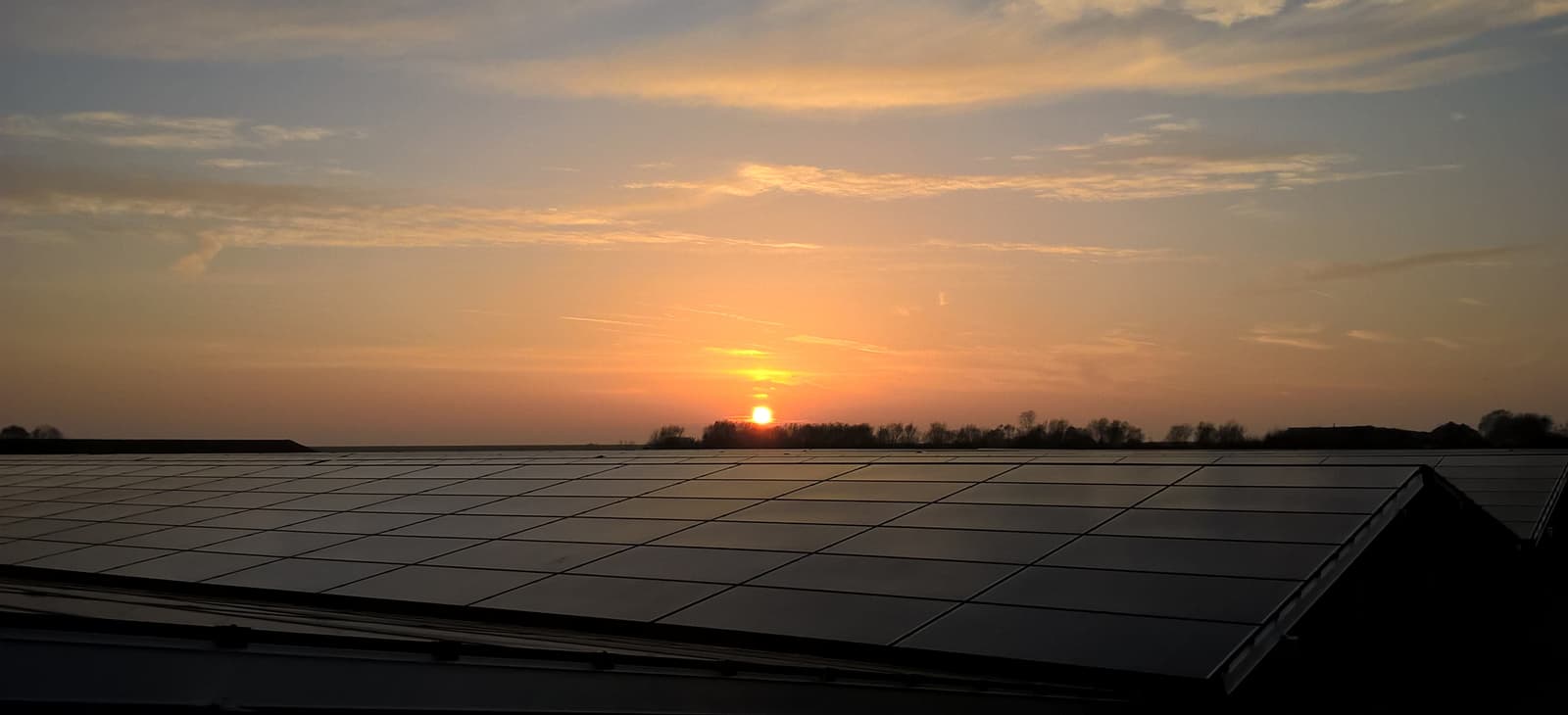 goldbecksolar_zirikzee_5