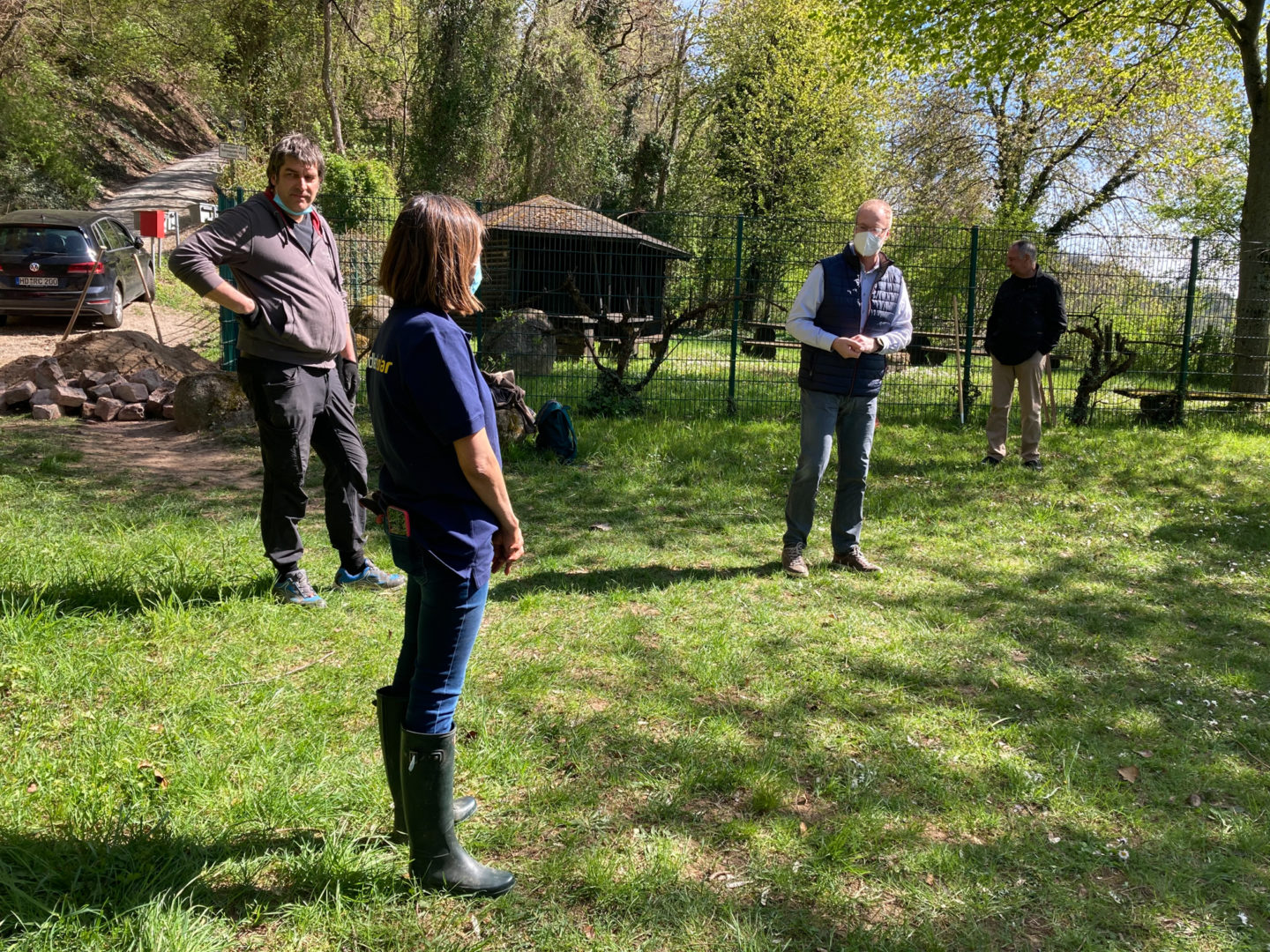 Eidechsenprojekt GoldbeckSolar-0020-3