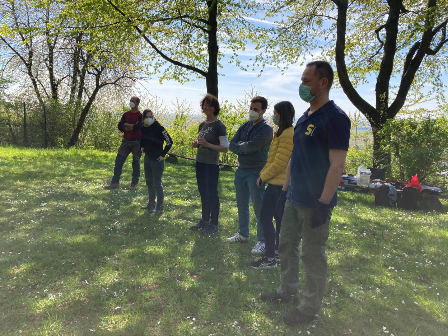 Eidechsenprojekt GoldbeckSolar-0021-3