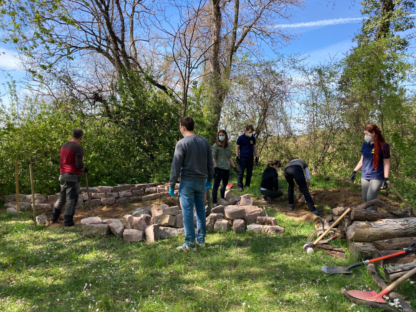 Eidechsenprojekt GoldbeckSolar-0022-3