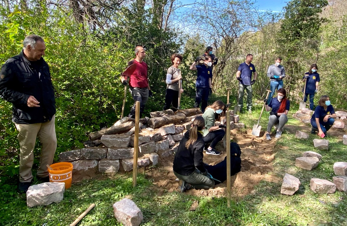 Eidechsenprojekt GoldbeckSolar-12