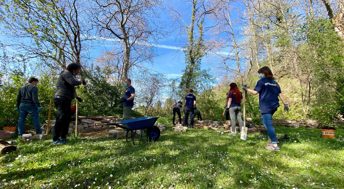 Eidechsenprojekt GoldbeckSolar-13