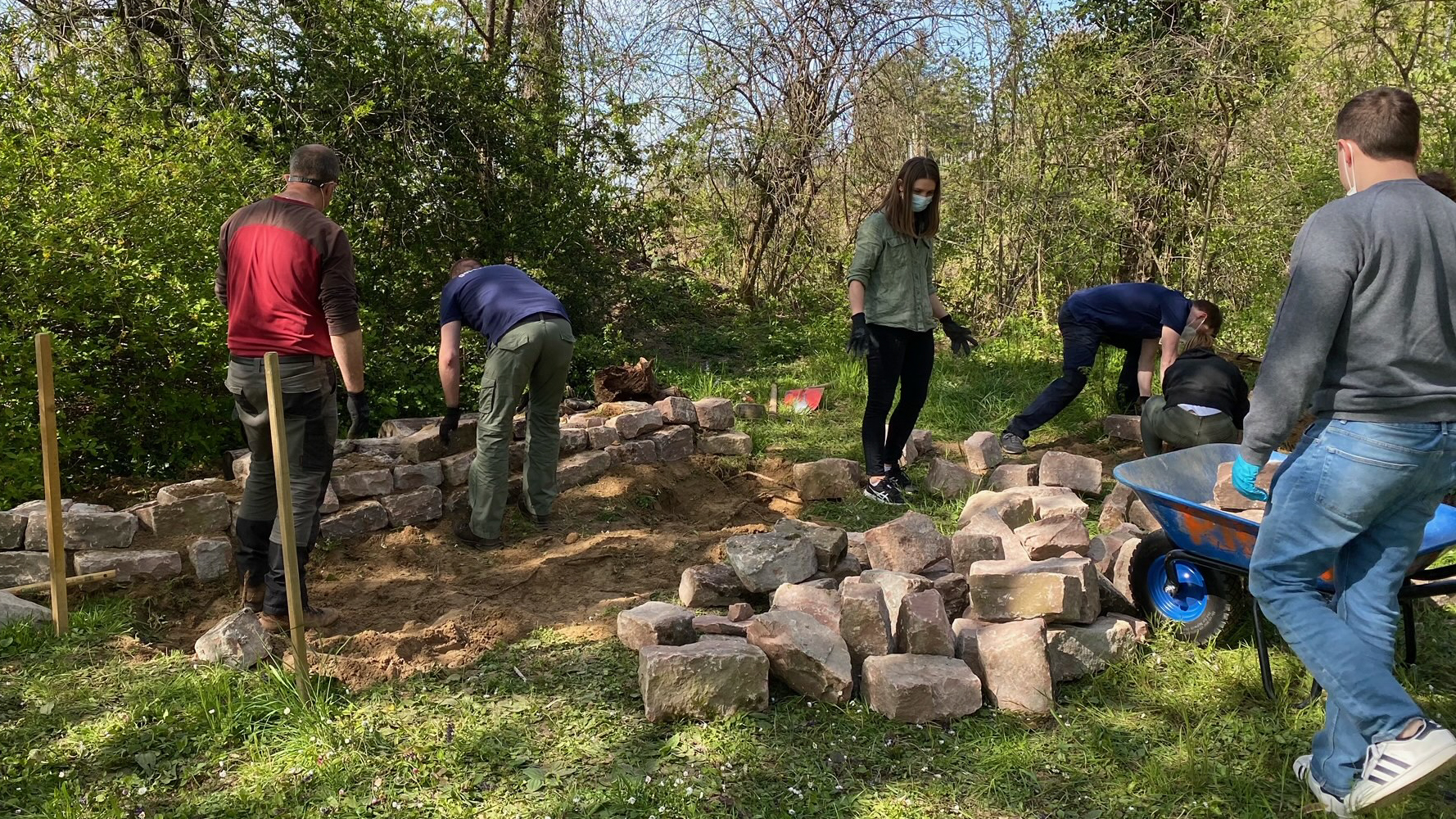 Eidechsenprojekt GoldbeckSolar-18