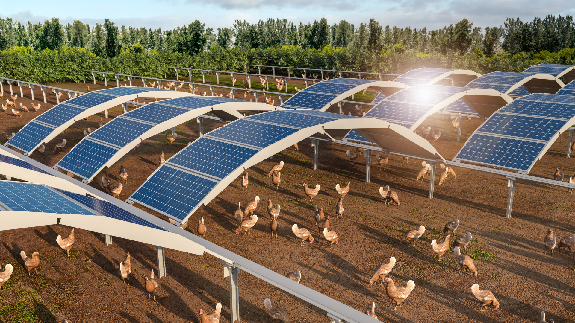 Rendering mehrerer MarcS-Bögen. Darunter finden Tiere wie Hühner Schatten und Schutz.