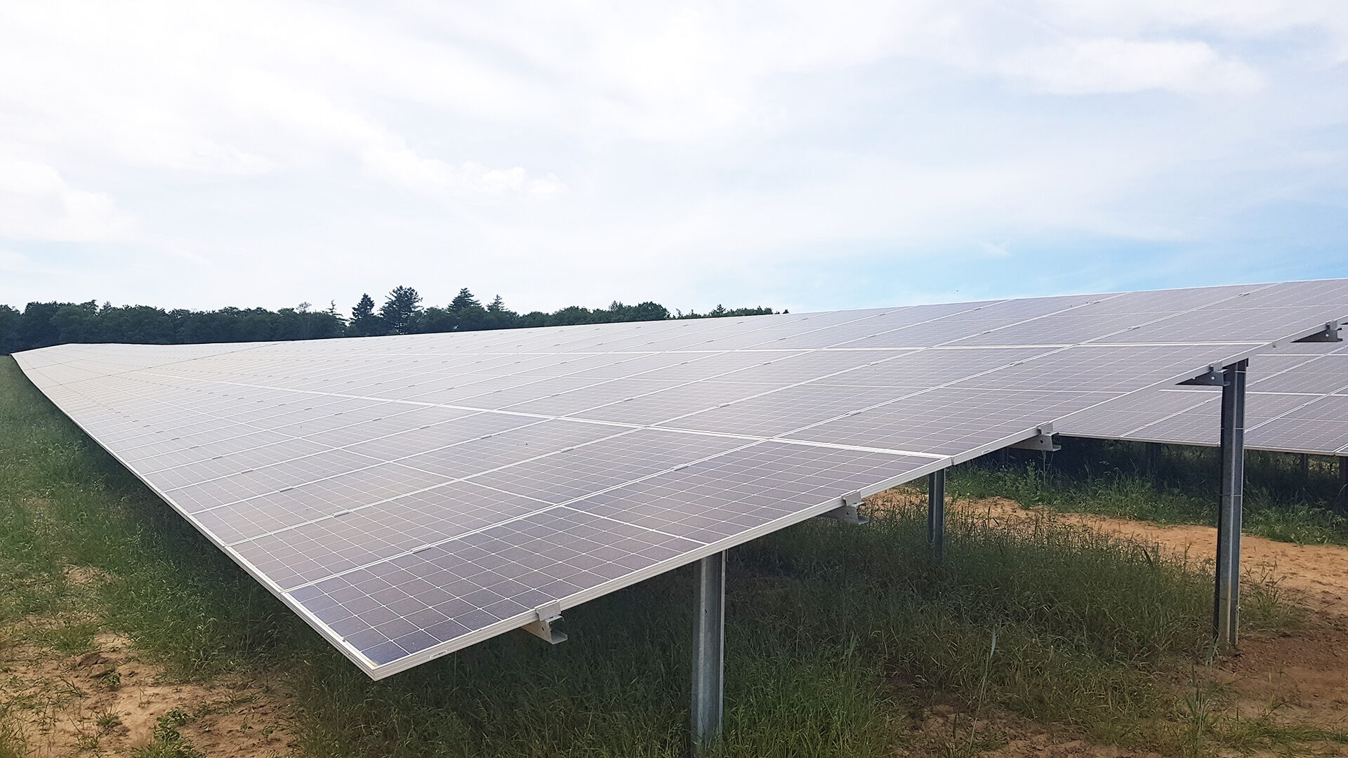 Solarpanel von der Seite auf dem Solarpark Roigheim