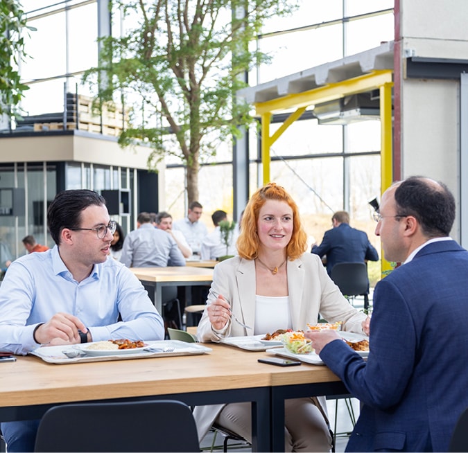 goldbecksolar_karriere_f1