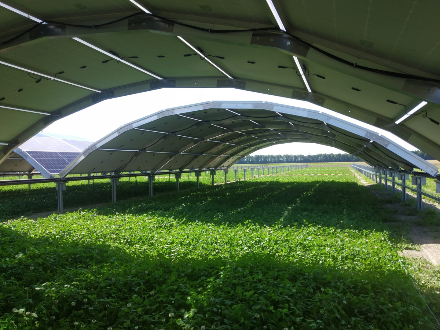 MarcS-Module in Action with clover