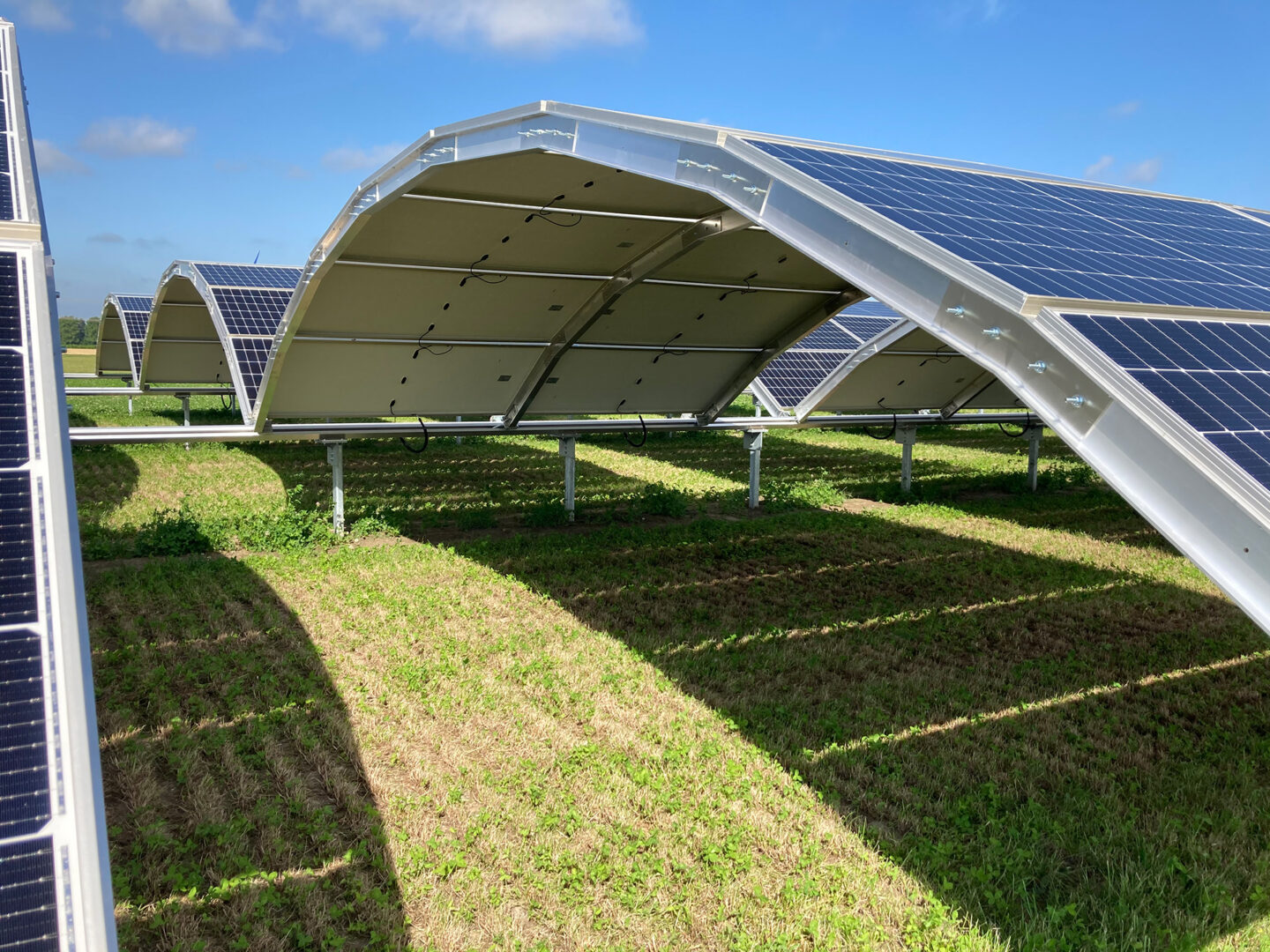 MarcS-Module in Action