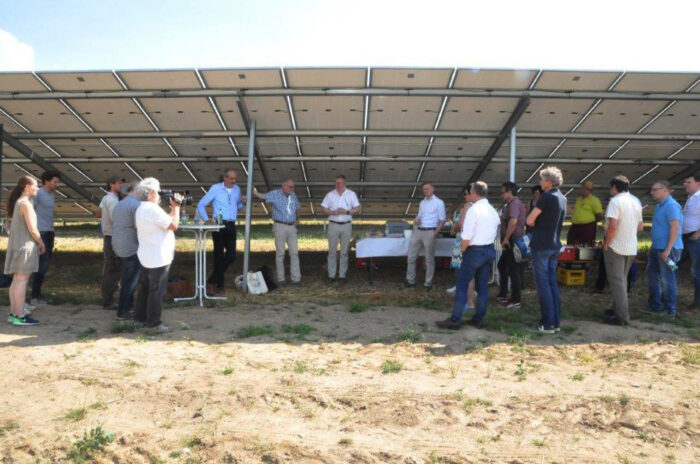 Die Solarmodule bieten Natur und Gästen Schatten