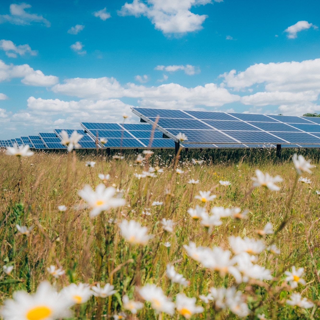 Solar Park Low Carbon