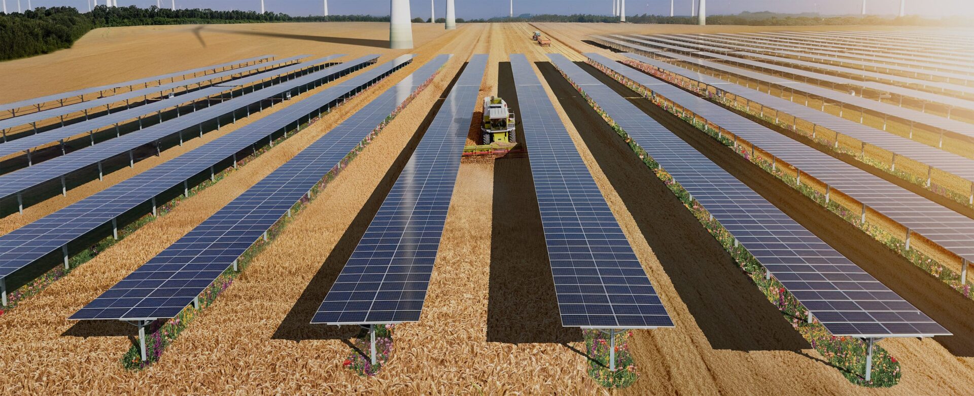 Reihen von Solarmodulen sind auf einem abgeernteten Weizenfeld installiert, dazwischen arbeitet ein Traktor, und im Hintergrund sind Windkraftanlagen zu sehen.