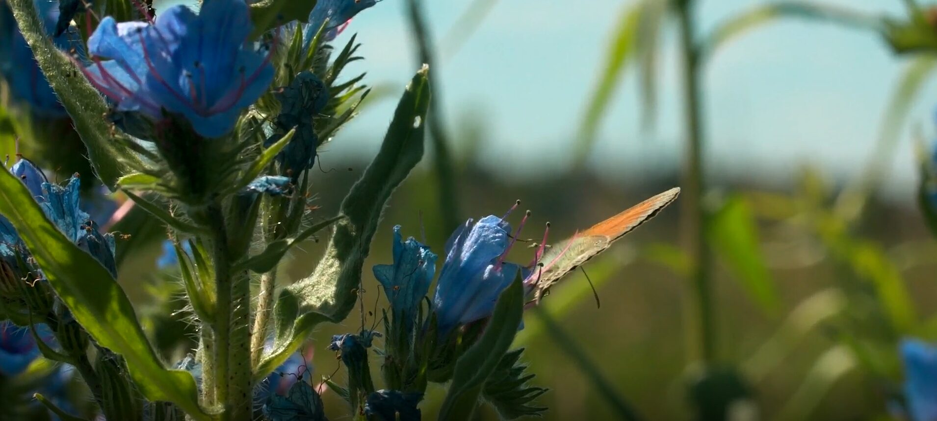 Screenshot 2025-06-20 163757